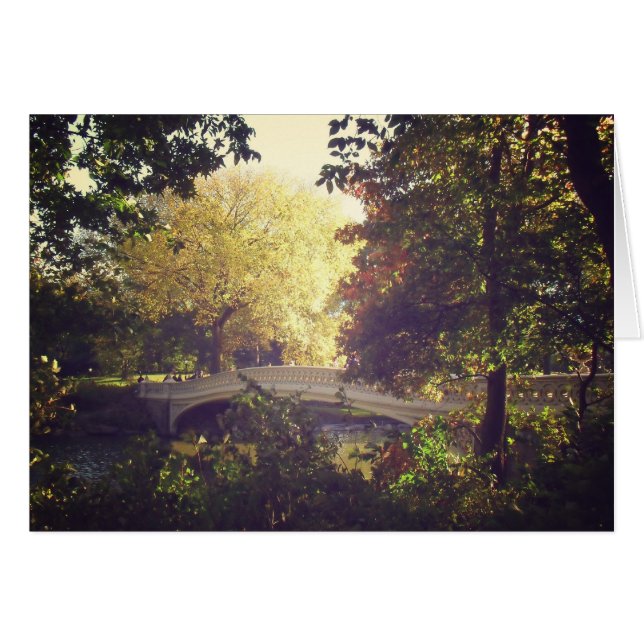Bodembrug gevormd door bomen, Central Park, NYC (Voorkant Horizontaal)