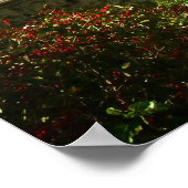 Bodembrug in de herfst, Central Park, NYC, Medium Poster (Hoek)