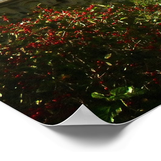 Bodembrug in de herfst, Central Park, NYC, Medium Poster (Hoek)