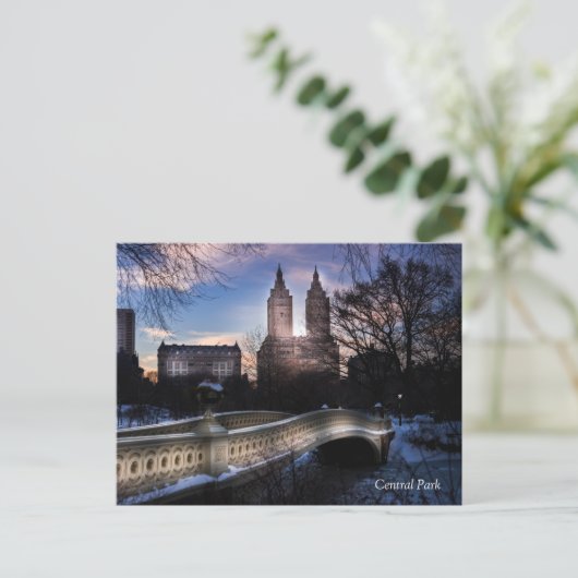 Bodembrug in de winter briefkaart (Staand voorkant)