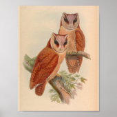 Bodembruine  vogelkunst afdrukken poster (Voorkant)