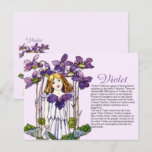 Bodemcollector  Violet Girl Plant Info Briefkaart (Voorkant / Achterkant)