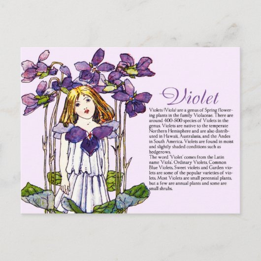 Bodemcollector  Violet Girl Plant Info Briefkaart (Voorkant)