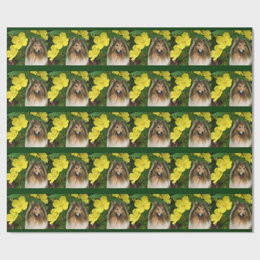 Bodemcollie en gele bloemen cadeaupapier (Vlak)