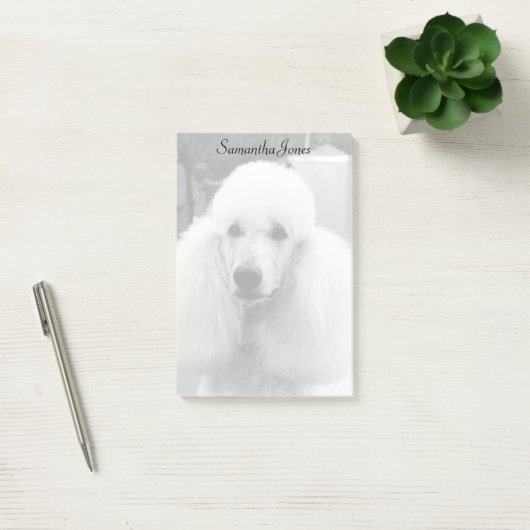 Bodemhond postt notitie post-it® notes (Kantoor)