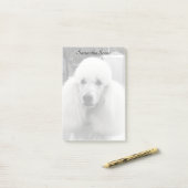 Bodemhond postt notitie post-it® notes (Op bureau)