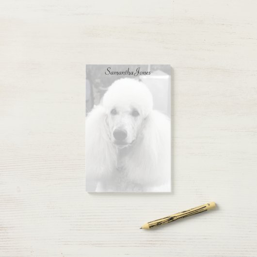 Bodemhond postt notitie post-it® notes (Op bureau)