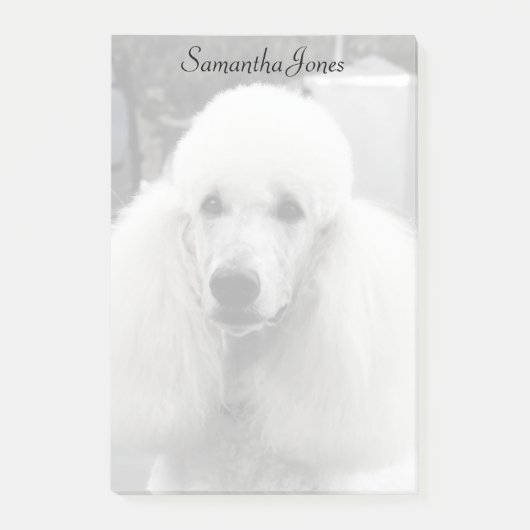 Bodemhond postt notitie post-it® notes (Voorkant)