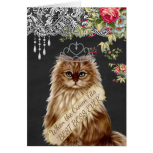 Bodemkaart Diva Cat Crown