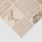  bodemkrantenontvlechting tissuepapier (Detail)