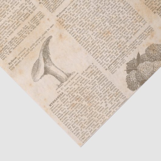  bodemkrantenontvlechting tissuepapier (Detail)