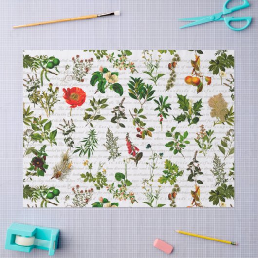 Bodemkruiden bloemen Herbarium Tissuepapier (Craft)