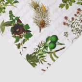 Bodemkruiden bloemen Herbarium Tissuepapier (Detail)