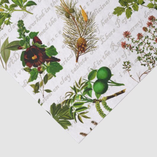 Bodemkruiden bloemen Herbarium Tissuepapier (Detail)