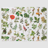 Bodemkruiden bloemen Herbarium Tissuepapier (Voorkant)