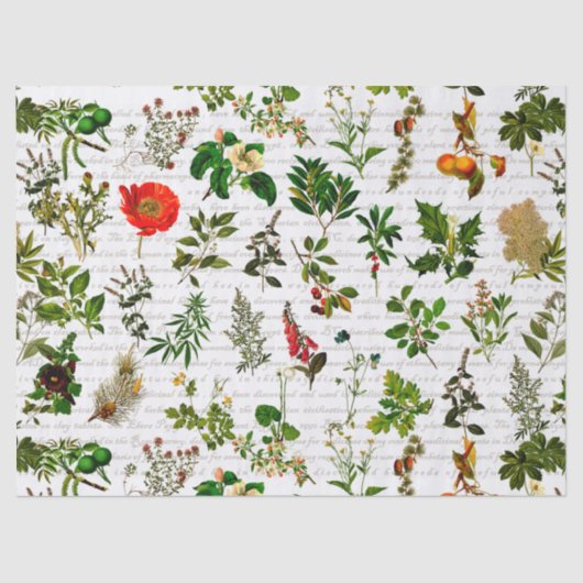 Bodemkruiden bloemen Herbarium Tissuepapier (Voorkant)