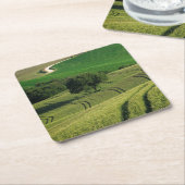 Bodemlijnen in het groene onderzetter van Toscane (Schuin)