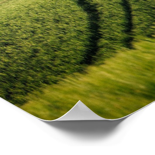 Bodemlijnen in het groene poster van Toscane (Hoek)