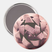 Bodemroos gouden cadeau magneet (Voorkant / Achterkant)