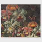  bodems met aardetonen cadeaupapier (Vlak)