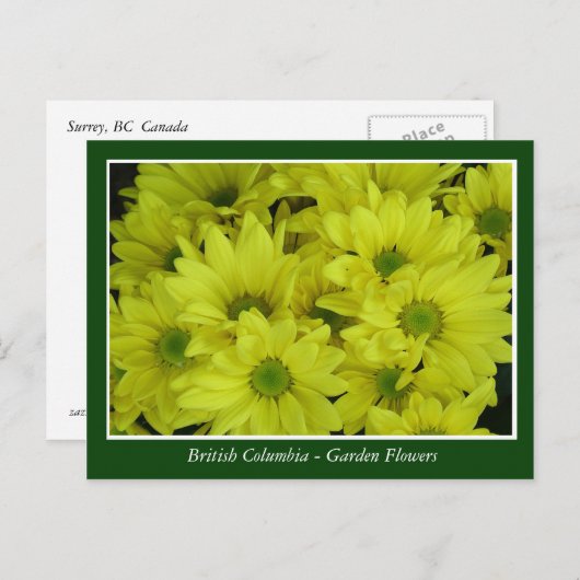 Bodemtuinbloemen Briefkaart (Voorkant / Achterkant)