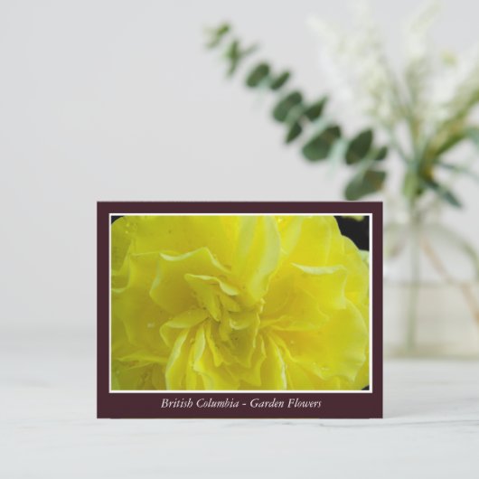 Bodemtuinbloemen Briefkaart (Staand voorkant)