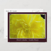 Bodemtuinbloemen Briefkaart (Voorkant / Achterkant)