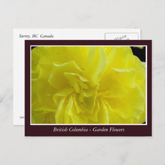 Bodemtuinbloemen Briefkaart (Voorkant / Achterkant)