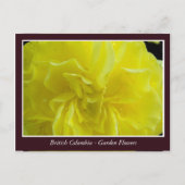 Bodemtuinbloemen Briefkaart (Voorkant)