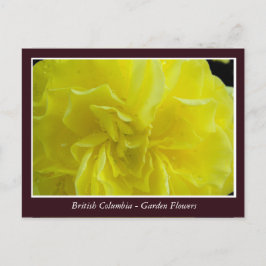 Bodemtuinbloemen Briefkaart