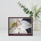 Bodemtuinbloemen Briefkaart (Staand voorkant)