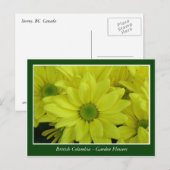 Bodemtuinbloemen Briefkaart (Voorkant / Achterkant)