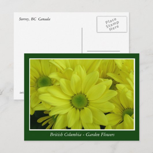 Bodemtuinbloemen Briefkaart (Voorkant / Achterkant)