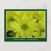 Bodemtuinbloemen Briefkaart (Voorkant)