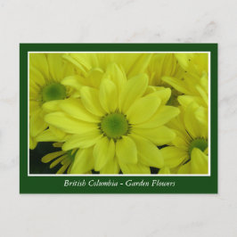 Bodemtuinbloemen Briefkaart