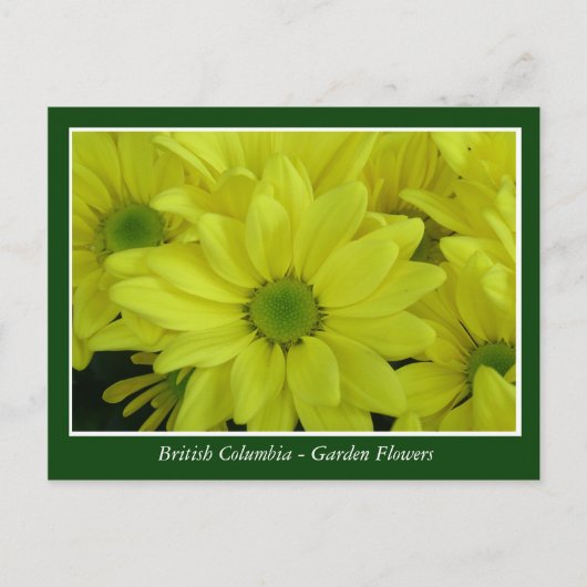 Bodemtuinbloemen Briefkaart (Voorkant)