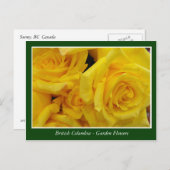 Bodemtuinbloemen Briefkaart (Voorkant / Achterkant)