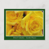 Bodemtuinbloemen Briefkaart (Voorkant)