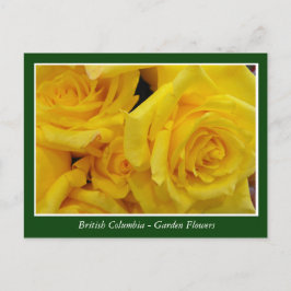 Bodemtuinbloemen Briefkaart