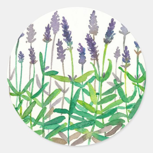 Bodemvloeren Botanische Waterverf Herbs Art Ronde Sticker (Voorkant)