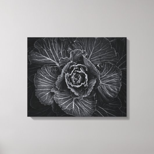 Bodemvloeren in zwart-wit nr. 108 canvas afdruk (Voorkant)