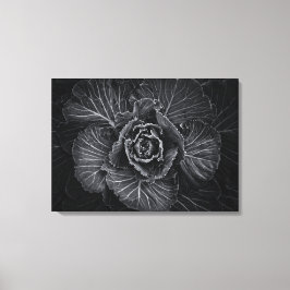 Bodemvloeren in zwart-wit nr. 108 canvas afdruk