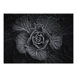 Bodemvloeren in zwart-wit nr. 108 foto afdruk