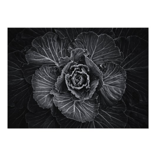 Bodemvloeren in zwart-wit nr. 108 foto afdruk (Voorkant)