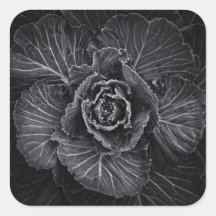 Bodemvloeren in zwart-wit nr. 108