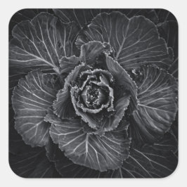 Bodemvloeren in zwart-wit nr. 108 vierkante sticker