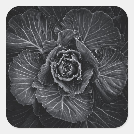 Bodemvloeren in zwart-wit nr. 108 vierkante sticker (Voorkant)