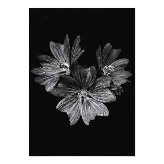 Bodemvloeren in zwart-wit nr. 11 foto afdruk (Voorkant)