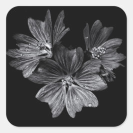 Bodemvloeren in zwart-wit nr. 11 vierkante sticker