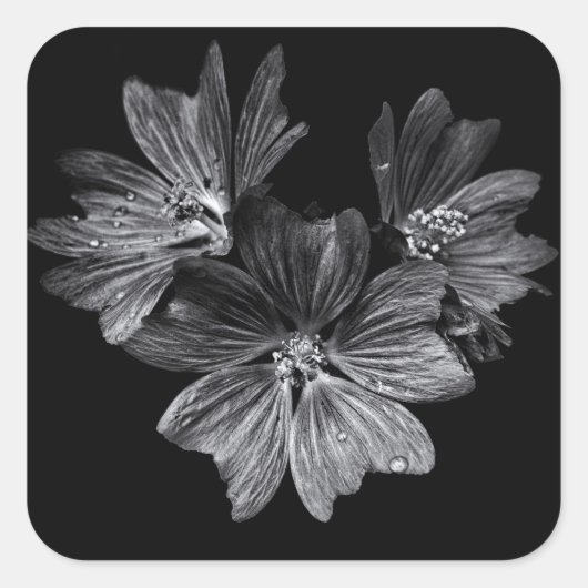 Bodemvloeren in zwart-wit nr. 11 vierkante sticker (Voorkant)